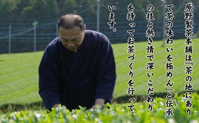 辣手幻 蜈ォ螂ウ闌カ 5陲九そ繝繝 100gテ5陲 縺願幻 鬟イ縺ソ迚ゥ 鬟イ譁 縺願幻蜃コ縺 譌・譛ャ闌カ 闌カ闡 縺願幻縺」闡 辷ス繧縺九↑鬥吶j 逕倥∩ 縺サ縺ゥ繧医>貂句袖 繝舌Λ繝ウ繧ケ 鬟ス縺阪ョ縺薙↑縺蜻ウ繧上> 魄ョ繧縺九↑濶イ 譎ョ谿オ逕ィ 縺雁ョ「讒倡畑