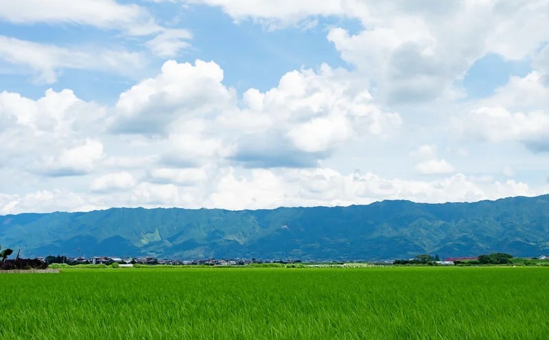 ラーメン セット 2人前 祇園さんがの純生 とんこつラーメン 麺 とんこつ ※配送不可：離島