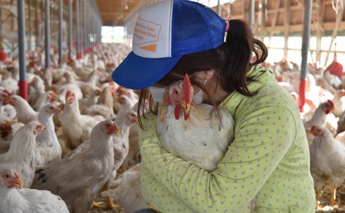 ã¯ããå°ã©ãæ°Žçãã»ãã éã»ããæ°Žçã é¶èæ°Žçã â»é
éäžå¯:é¢å³¶