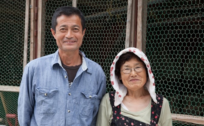 はかた地どり 美人鍋セット 水炊き 鍋 セット 鶏肉 ※配送不可:離島
