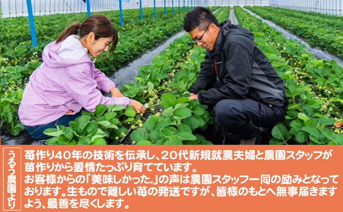 いちご 2026年2月より発送 うるう農園のあまおう サイズ色々4パック 約1.14kg 果物 フルーツ デザート 食後 特別栽培 福岡県産 国産 日本産 ※配送不可：離島