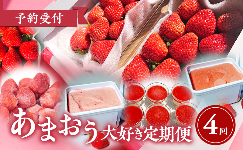 【2026年2月上旬より発送開始】【予約受付・4回定期便】あまおう大好き定期便 ※配送不可：北海道・沖縄県・離島