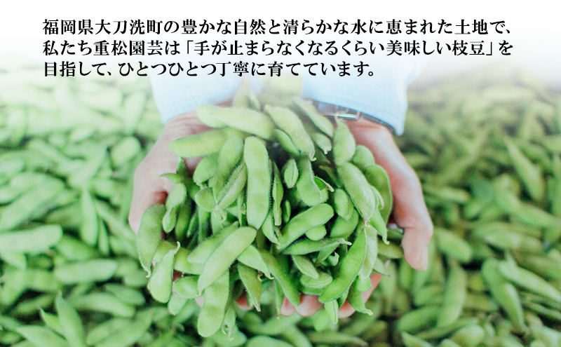 æè± ã2026幎6æçºéãæè±200gÃ10è¢ åèš2kg çŠå²¡çå€§åæŽçºç£ è± ãã ãŸã çŒãæè± ãåŒåœ ãã€ãŸã¿ â»é
éäžå¯:åæµ·éã»æ²çžã»é¢å³¶