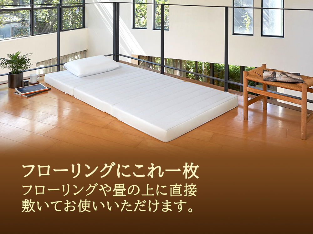 ã¹ããŒãZ01ãç¹å¥ä»æ§ ã·ã³ã°ã«