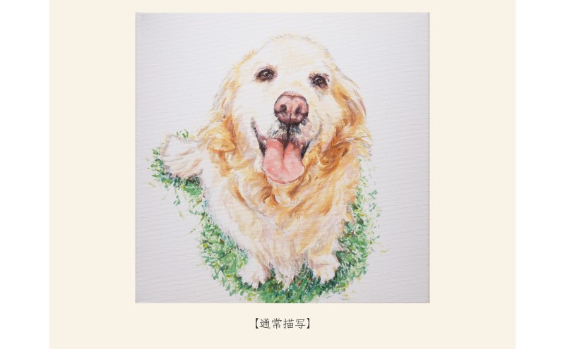 油絵ã§å€§åãªããããæããŸãïŒ41Ã32cmã»èæ¯ç¡å°ïŒ