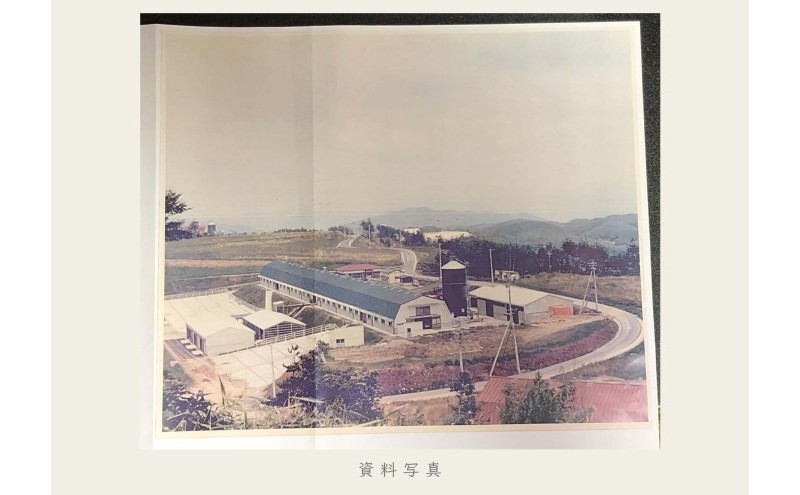 油絵で高級感のある風景画を描きます（53×45cm）