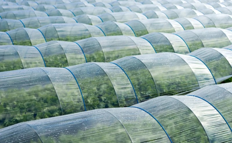 å®æäŸ¿ 3å ããã¹ãæåœããšããã飿 ææã®ã äœç
® é£ã¹ãããµã€ãº 12é£ æµ·è ãã¯ãã®ãäŸ 3ã¶æ çŠå²¡ç