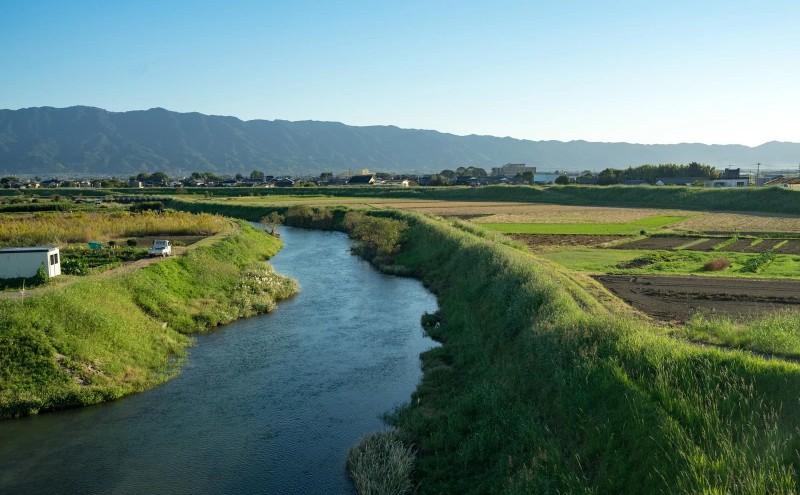 いか明太 140g×4 明太子 めんたいこ 加工品