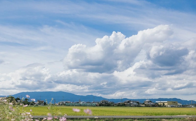 譏主、ェ蟄 蜥後∴迚ゥ繧サ繝繝 (縺縺区主、ェ繝サ謨ー縺ョ蟄先主、ェ) 繧√s縺溘>縺