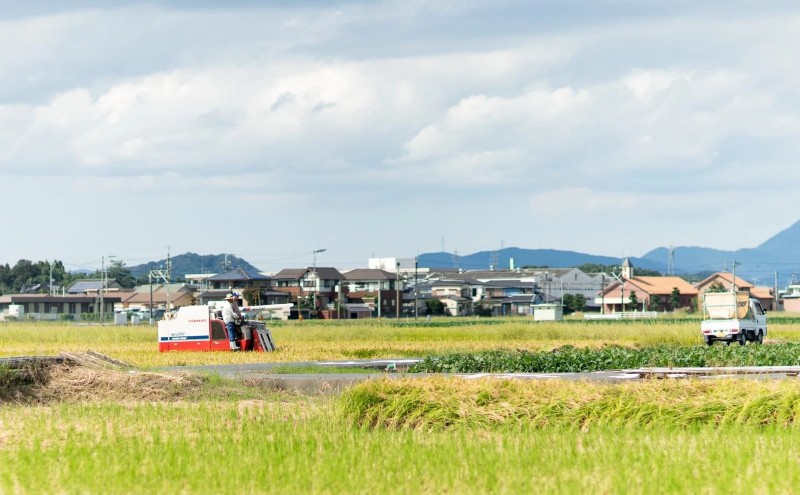 譏主、ェ蟄 蜥後∴迚ゥ繧サ繝繝 (縺縺区主、ェ繝サ謨ー縺ョ蟄先主、ェ) 繧√s縺溘>縺