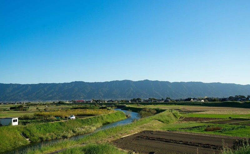 譏主、ェ蟄 蜥後∴迚ゥ繧サ繝繝 (縺縺区主、ェ繝サ謨ー縺ョ蟄先主、ェ) 繧√s縺溘>縺