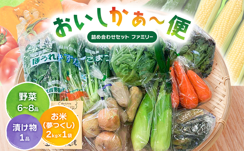 おいしかぁ～便 詰め合わせセット ファミリーセット 家族用 野菜 やさい 米 新鮮 新鮮野菜 家庭用 新鮮 福岡県 大刀洗町