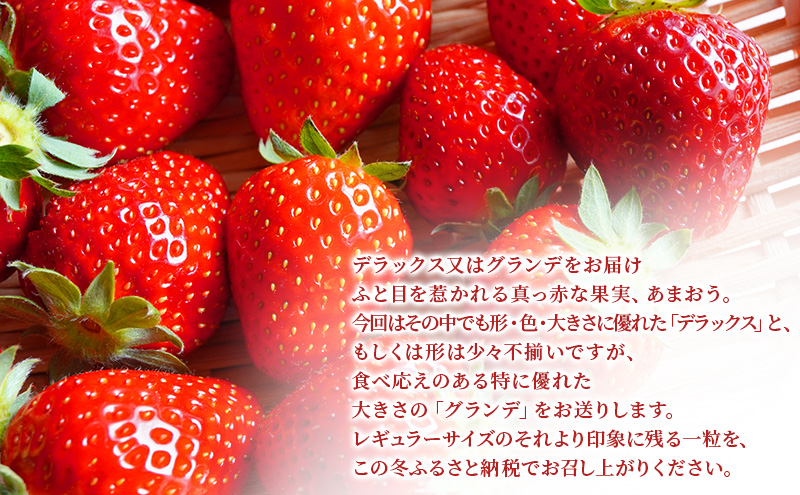 ãã¡ã 2ãã㯠èšçŽ540g åå€ããŸãã ãã©ãã¯ã¹ ã°ã©ã³ã ã»ãã è©°ãåãã ããŸãã èº ã€ã㎠æç© ãã ãã® ãã«ãŒã æ¬ã®ãã«ãŒã å£ç¯ã®æç© çŠå²¡ çŠå²¡ç å€§åæŽçº ãç³èŸŒïŒ2025幎12ææ«è¿