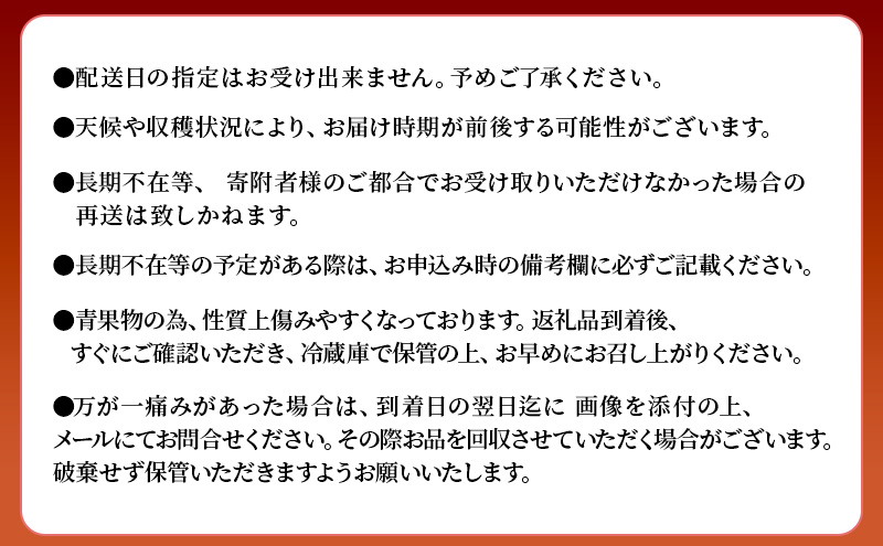 いちご 2パック 計約540g 博多あまおう デラックス グランデ セット 詰め合わせ おまおう 苺 イチゴ 果物 くだもの フルーツ 旬のフルーツ 季節の果物 福岡 福岡県 大刀洗町 お申込：2025年12月末迄