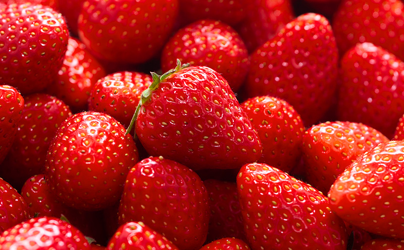 ãã¡ã 2ãã㯠èšçŽ540g åå€ããŸãã ãã©ãã¯ã¹ ã°ã©ã³ã ã»ãã è©°ãåãã ããŸãã èº ã€ã㎠æç© ãã ãã® ãã«ãŒã æ¬ã®ãã«ãŒã å£ç¯ã®æç© çŠå²¡ çŠå²¡ç å€§åæŽçº ãç³èŸŒïŒ2025幎12ææ«è¿