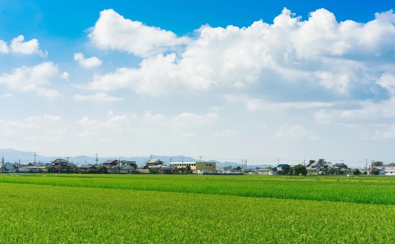 ãã¡ã 4ãã㯠èšçŽ1080g åå€ããŸãã ãã©ãã¯ã¹ ã°ã©ã³ã ã»ãã è©°ãåãã ããŸãã èº ã€ã㎠æç© ãã ãã® ãã«ãŒã æ¬ã®ãã«ãŒã å£ç¯ã®æç© çŠå²¡ çŠå²¡ç å€§åæŽçº ãç³èŸŒïŒ2025幎12ææ«è¿