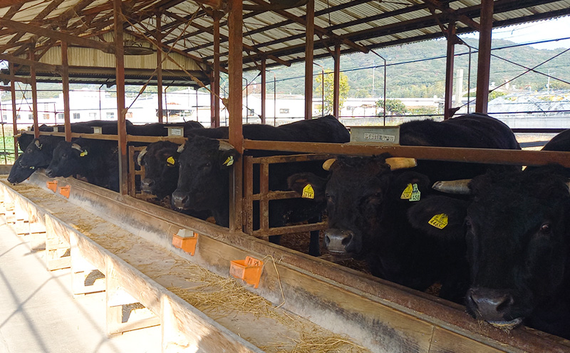 博多和牛 モモ 焼肉用・スライス 計800g (各400g) 牛肉 肉 セット ※配送不可：離島