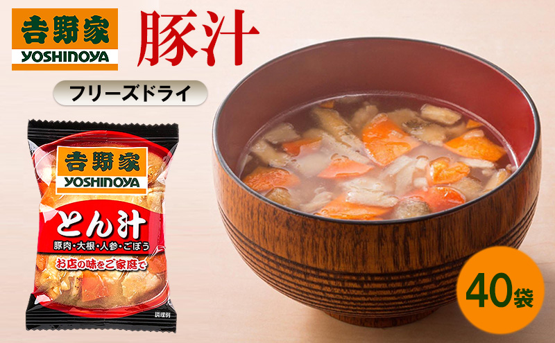 åéå®¶ è±æ± 40è¢ ããªãŒãºãã©ã€ ãšãæ± åžžæž©ä¿å é£å è±è ã€ã³ã¹ã¿ã³ã åžžæž© éåžžé£ ä¿åé£ çœå®³ é²çœ åè ããŒãªã³ã°ã¹ãã㯠éåžžçš åèçš