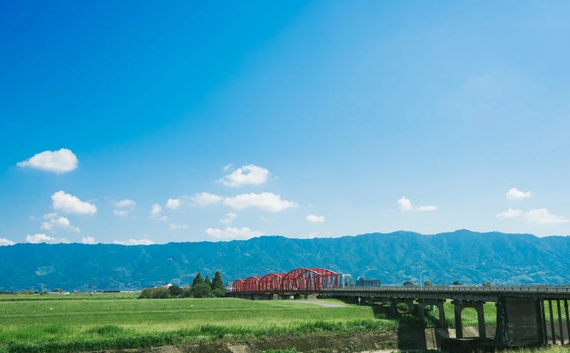 å®æäŸ¿ 6å åéå®¶ è±æ± 20è¢ ããªãŒãºãã©ã€ ãšãæ± åžžæž©ä¿å é£å è±è ã€ã³ã¹ã¿ã³ã åžžæž© éåžžé£ ä¿åé£ çœå®³ é²çœ åè ããŒãªã³ã°ã¹ãã㯠éåžžçš åèçš