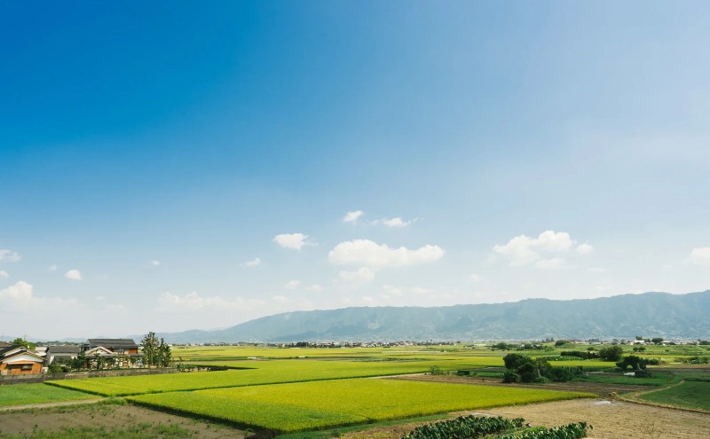 å®æäŸ¿ 6å åéå®¶ è±æ± 20è¢ ããªãŒãºãã©ã€ ãšãæ± åžžæž©ä¿å é£å è±è ã€ã³ã¹ã¿ã³ã åžžæž© éåžžé£ ä¿åé£ çœå®³ é²çœ åè ããŒãªã³ã°ã¹ãã㯠éåžžçš åèçš