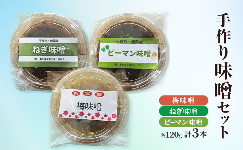手作り味噌セット 梅 ねぎ ピーマン 各120g 味噌 みそ セット