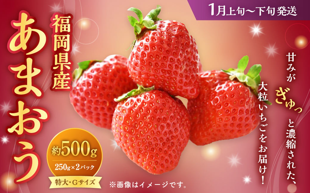 福岡県産 あまおう 500g（250g×2パック）いちご 苺 イチゴ 【2025年1月上旬〜1月下旬発送予定】