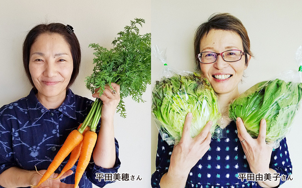 「TACHIARAI」 おいしかぁ～便 夢つくし 2kg入 野菜 9～12品