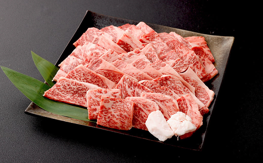 博多和牛ロース 焼肉用 400g×2パック 合計800g 肉 お肉 牛肉 和牛 博多和牛 ロース 焼肉 焼き肉 BBQ 冷凍 国産 九州産 福岡県 大刀洗町