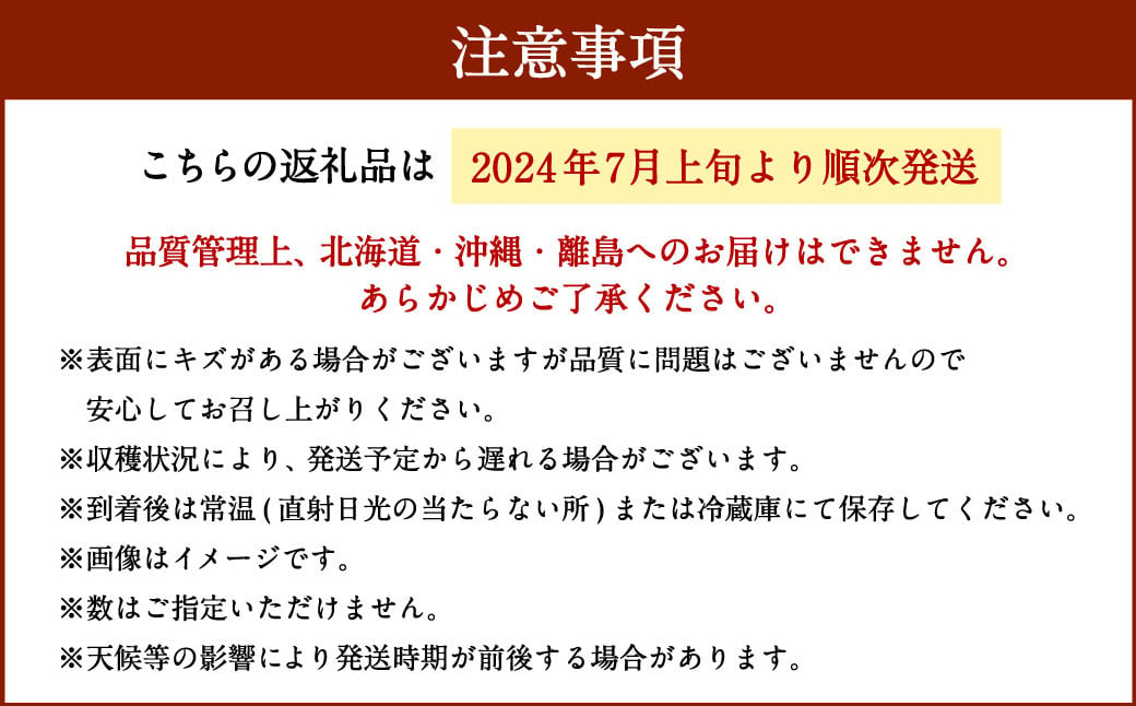 福岡県産 パッションフルーツ（大玉） 11～12個【2024年7月上旬～8月下旬発送予定】