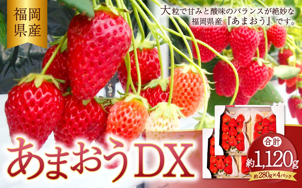 あまおう DX 約280g×4パック 1120g いちご 苺 イチゴ【2025年2月上旬～4月上旬発送予定】