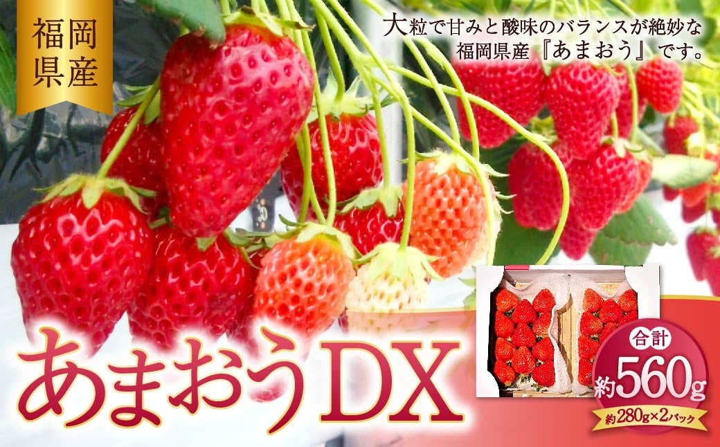 あまおう DX 約280g×2パック 560g いちご 苺 イチゴ【2025年2月上旬～4月上旬発送予定】