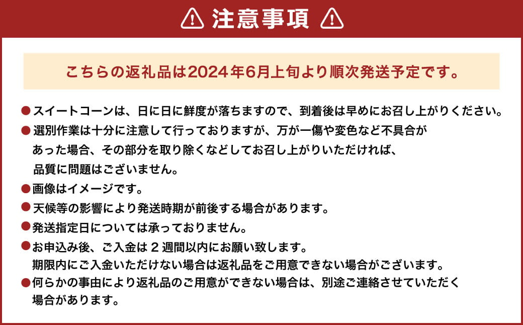スイートコーン 10本入り 【2024年6月上旬～6月下旬発送予定】