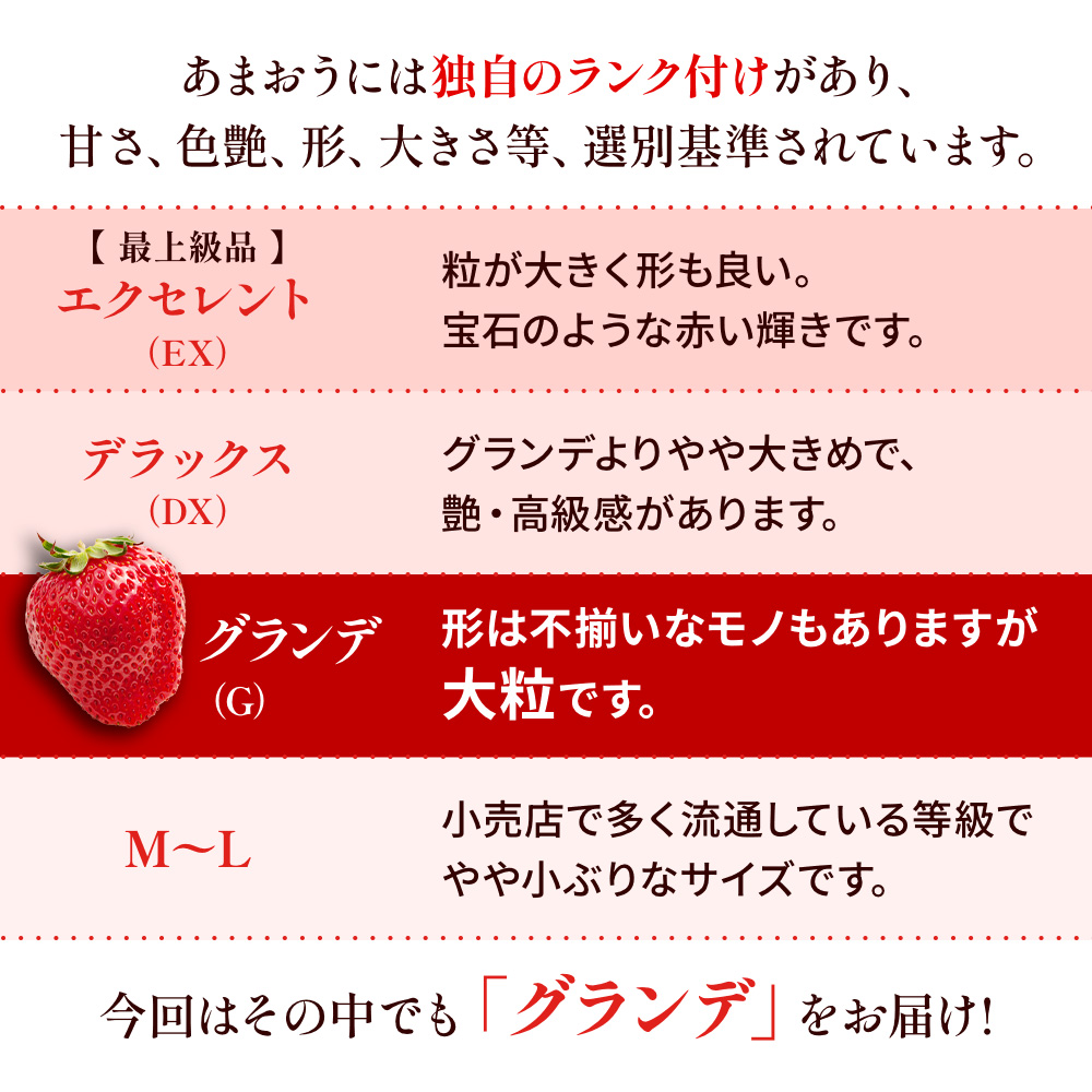 福岡県産 あまおう 1000g（250g×4パック）1kg 特大 Gサイズ 大粒 いちご 苺 あまおう 果物 くだもの フルーツ 九州産 福岡県 大刀洗町 【2025年2月上旬～4月下旬発送予定】