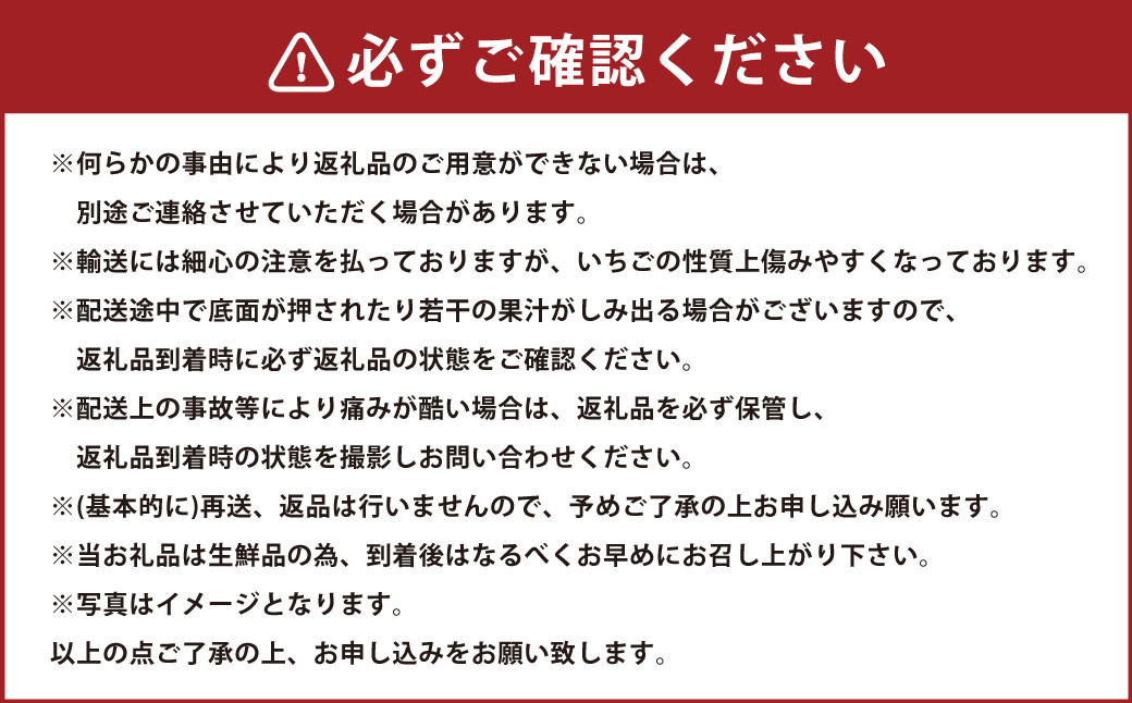 今季初採れあまおう2パック 約500-540g 【数量限定】  いちご 苺 あまおう 果物 くだもの フルーツ 肉厚 ジューシー 初採れ 福岡県産 【2024年12月上旬～2025年1月下旬発送予定】