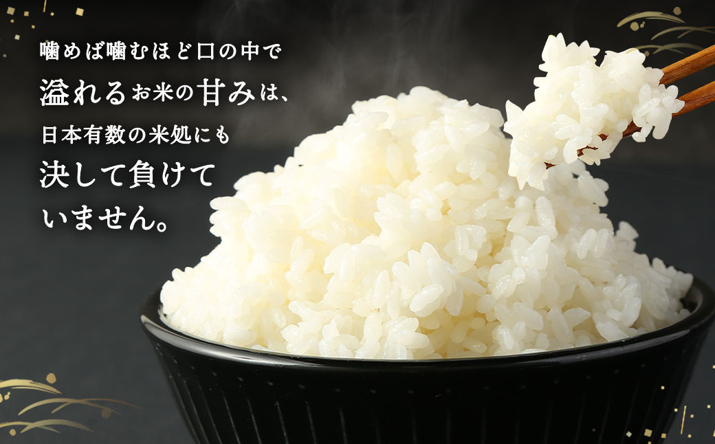【6回定期便】｢筑後平野のふくよか米｣ 無洗米 14kg(5kg×2袋、2kg×2袋)×6回 合計84kg