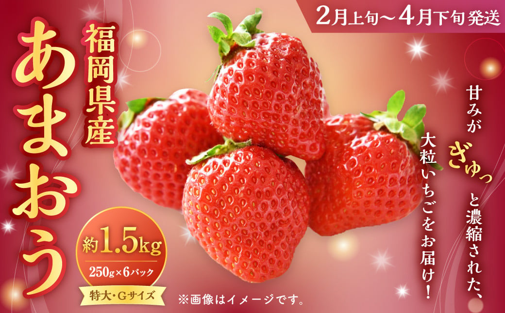 福岡県産 あまおう 1500g（250g×6パック）いちご 苺 イチゴ【2025年2月上旬〜4月下旬発送予定】