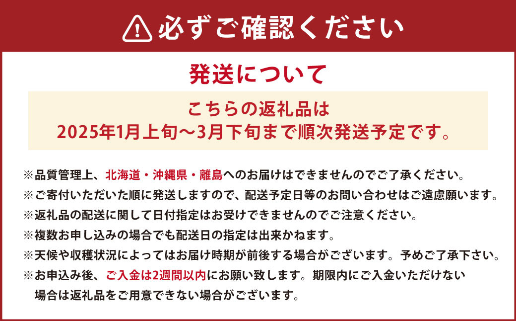 あまおう4パックセット 約250-270g×4パック（2L・2A・G規格以上）【数量限定】 いちご 苺 あまおう 果物 くだもの フルーツ 肉厚 ジューシー 福岡県産 【2025年1月上旬～3月下旬発送予定】