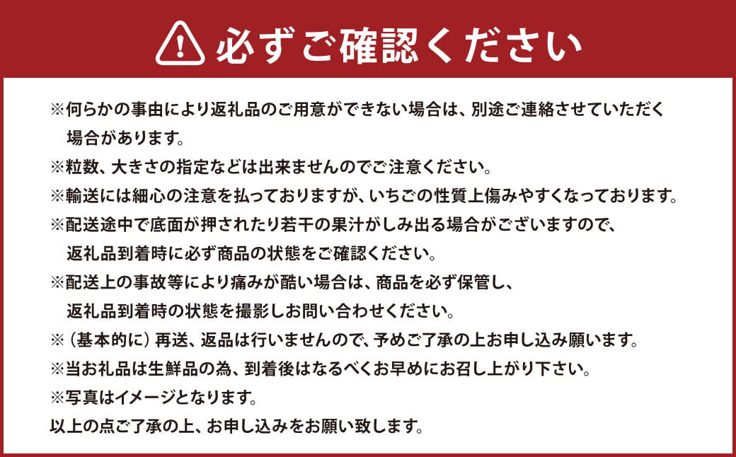 大粒あまおう 約250g～270g×4パック【2025年2月上旬～4月上旬発送予定】