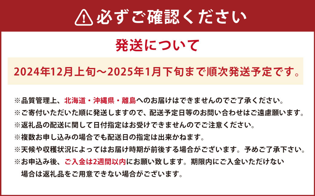 今季初採れあまおう2パック 約500-540g 【数量限定】  いちご 苺 あまおう 果物 くだもの フルーツ 肉厚 ジューシー 初採れ 福岡県産 【2024年12月上旬～2025年1月下旬発送予定】