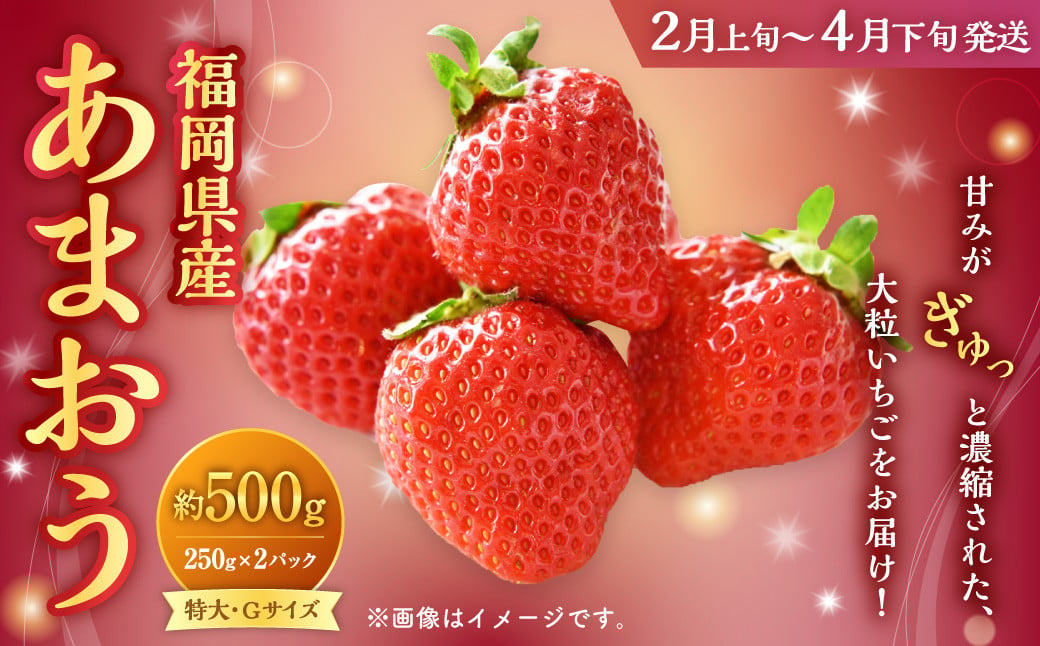 福岡県産 あまおう 500g（250g×2パック）いちご 苺 イチゴ【2025年2月上旬〜4月下旬発送予定】