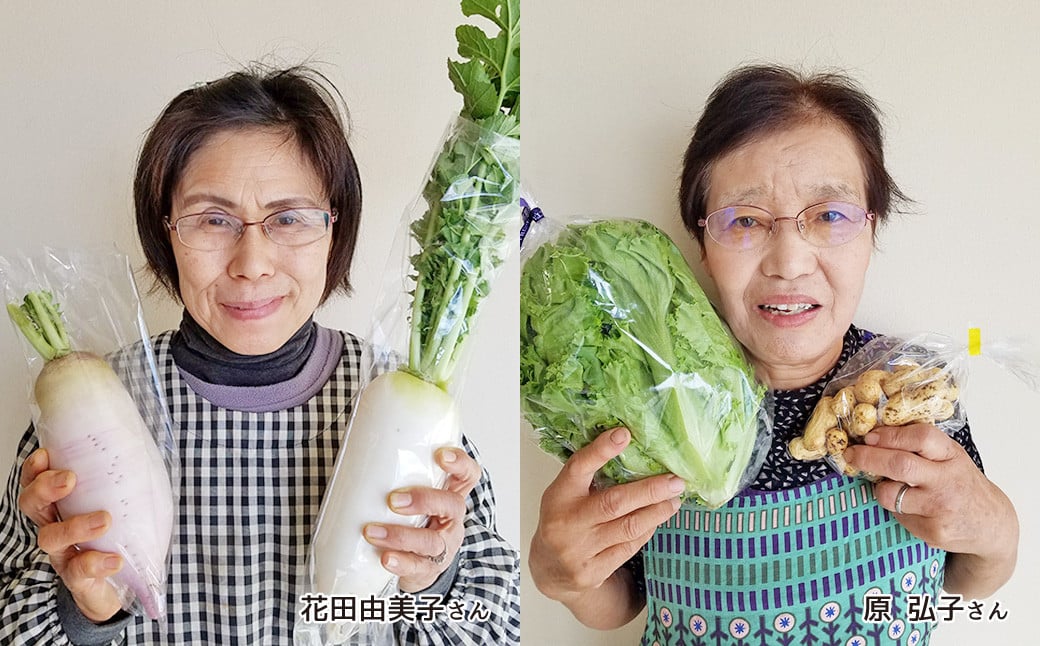 「TACHIARAI」 おいしかぁ～便 夢つくし 2kg入 野菜 9～12品
