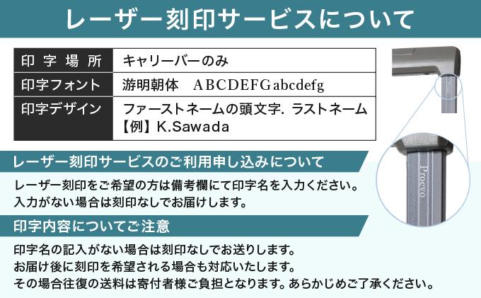 [PROEVO-AVANT]フロントオープン スーツケース 機内持ち込み対応 ストッパー付き SS（エンボス/ガンメタリック） [10005S] AY190 キャリーケース