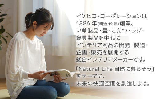 ウィルトンカーペット パレット 80×140ｃｍ ラグ イケヒコ・コーポレーション AA436