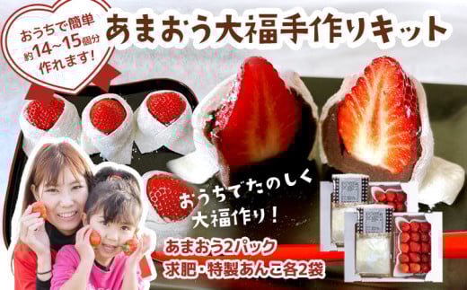 あまおう大福 手作りキット（2セット） 大福 和菓子 セット【2026年1月～4月にかけて順次出荷予定】餡子 あん お菓子 手作り 苺 いちご 大木町 池上農園 BD03