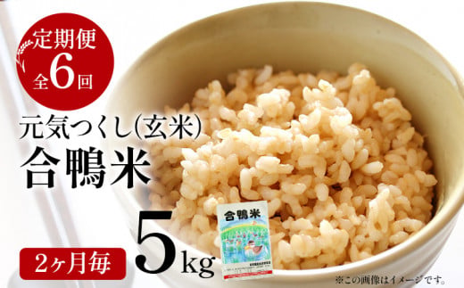 《先行予約》令和8年産 合鴨米「元気つくし」（玄米・5kg）定期便6回コース 数量限定 ※令和8年10月スタートの定期便 新米 BI10