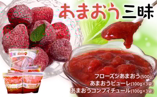 あまおう三昧（フローズンあまおう、あまおうピューレ、あまおうコンフィチュール） BD04