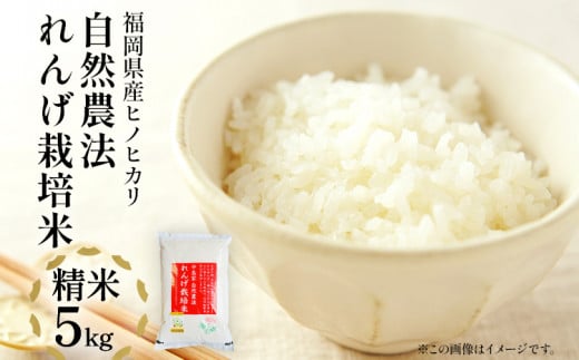 《先行予約》令和8年産 れんげ米 れんげ農法栽培米「ヒノヒカリ」（精米・5kg）新米 BI01
