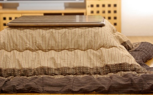 和モダンこたつ掛敷セットゆかり（205×245）（ブラウン）　AA131