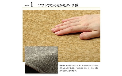 ãµã£ããæ·ã¢ãã«ãïŒ190Ã240ïŒïŒããŒãžã¥ïŒãAA116