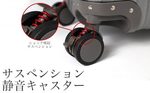 スーツケース [PROEVO] アルミスーツケース フレームキャリー 機内持ち込み対応サイズ S（カーボン/ブラック） [30001] 福岡県 大木町 株式会社 レクサス AY143 キャリーケース